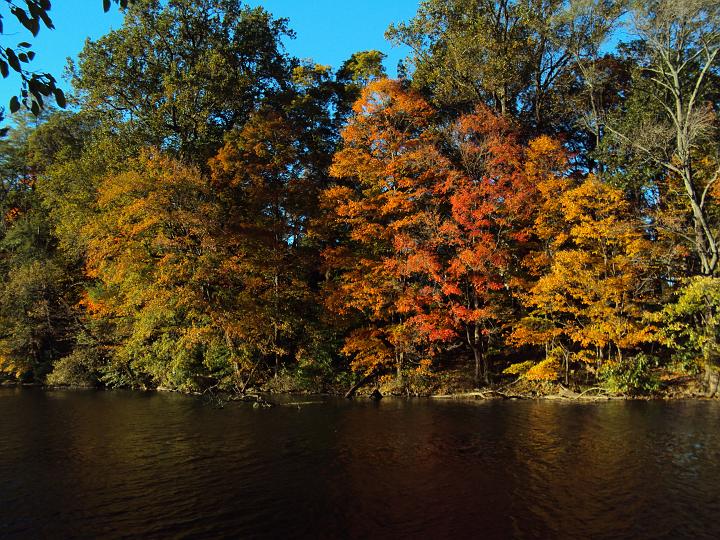 Fall View1.jpg